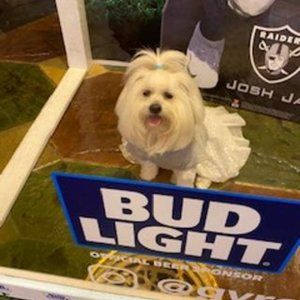 Las Vegas Proud Home Of The Raiders